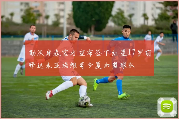 勒沃库森官方宣布签下红星17岁前锋达米亚诺维奇今夏加盟球队